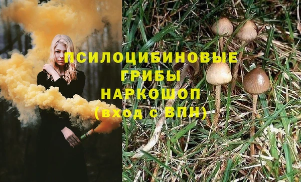 apvp Абинск