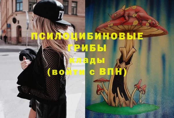 apvp Абинск