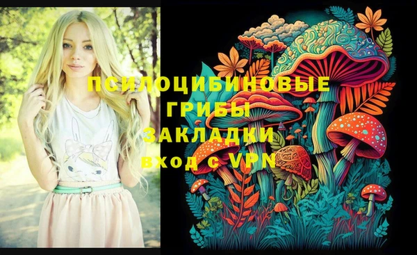 apvp Абинск